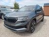 Skoda Karoq geisenfeld