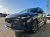 Hyundai TUCSON kreis|rheingau-taunus-kreis