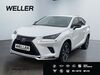 Lexus NX 300 stumsdorf