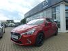 Mazda 2 bueddenstedt