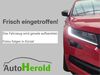 Skoda Octavia niederorschel