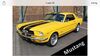 Ford Mustang dankmarshausen