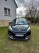Renault Scenic picher