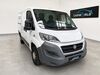 Fiat Ducato muenster-sarmsheim