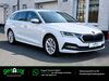 Skoda Octavia roehrig