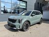 Kia Sorento birkweiler