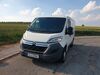 Citroen Jumper hoehr-grenzhausen