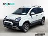 Fiat Panda schenkenzell