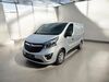 Opel Vivaro enzkloesterle