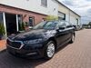 Skoda Octavia seevetal