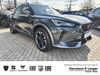 Cupra Formentor schoena-kolpien