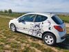 Peugeot 207 meinborn