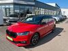 Skoda Fabia pouch