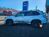 Subaru Forester bl|nordrhein-westfalen