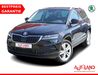 Skoda Karoq kreis|suedliche-weinstrasse