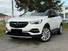 Opel Grandland (X) teichweiden