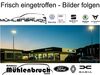 Skoda Kamiq kreis|rheingau-taunus-kreis