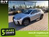 Lexus UX stumsdorf