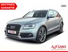 Audi SQ5 drossdorf