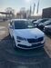 Skoda Karoq schoental