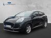 Ford Puma harzungen