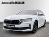 Skoda Octavia steisslingen