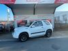 Suzuki Grand Vitara hornburg