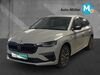 Skoda Scala ober-hilbersheim
