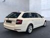 Skoda Octavia wiersdorf