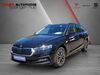 Skoda Octavia huelseburg
