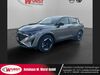 Nissan Qashqai enzkloesterle