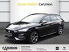 Seat Leon schwallungen