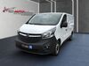 Opel Vivaro harzungen
