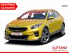 Kia XCeed fredersdorf-vogelsdorf
