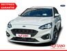 Ford Focus schoena-kolpien
