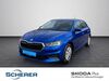 Skoda Fabia dorn-duerkheim
