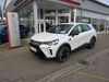 Mitsubishi Grandis enzkloesterle