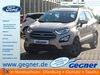 Ford EcoSport schmerkendorf