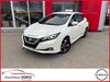 Nissan Leaf obergriesbach