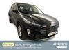 Ford Kuga gruenewald
