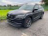 Skoda Kodiaq meinborn