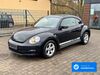 VW Beetle hornburg
