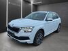 Skoda Kamiq roedelhausen