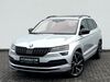 Skoda Karoq gusenburg