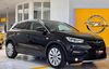 Opel Grandland (X) reinhardtsdorf-schoena