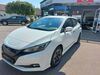 Nissan Leaf Schöfweg