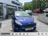 Ford Fiesta kreis|suedliche-weinstrasse