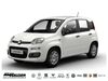 Fiat Panda nieder-hilbersheim