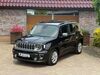 Jeep Renegade harzungen