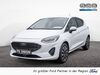 Ford Fiesta Büddenstedt
